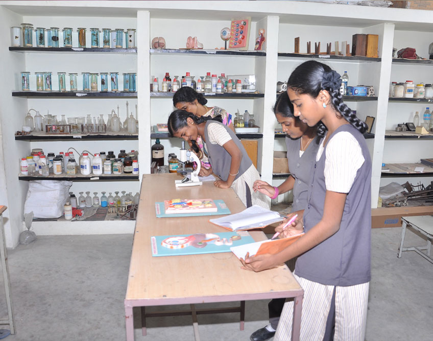 Classroom Environment