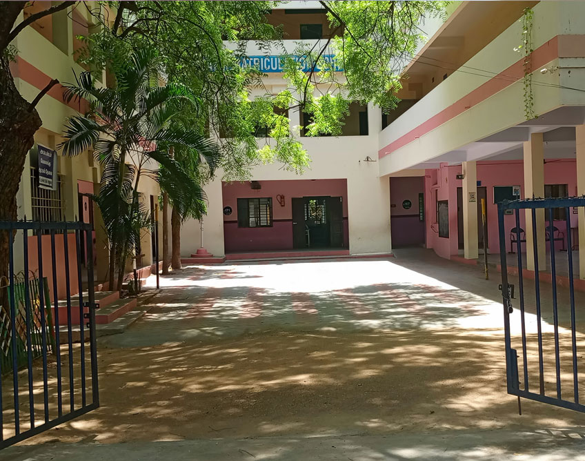 Peaceful & Pollution-Free Campus